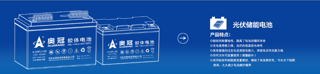 奥冠电池-奥冠蓄电池官方销售旗舰店